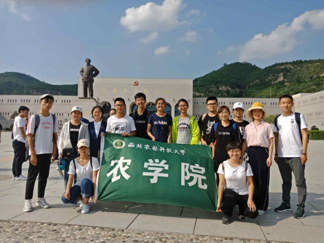 小孩受伤了，但是商场的监控全部坏了，导致无法维权，商场有责任？责任多少？游戏画面