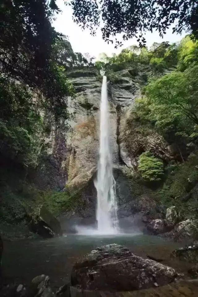 怪物大脚杯2